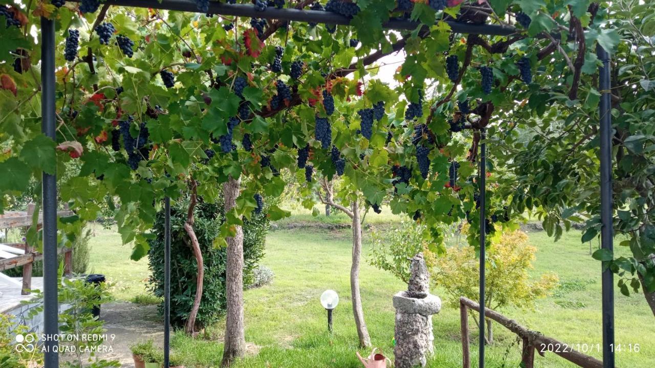 Вілла Etna, Salvia E Rosmarino Maletto Екстер'єр фото