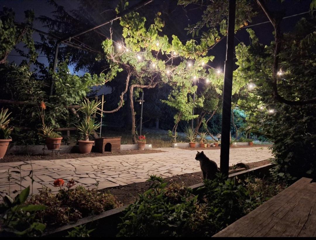 Вілла Etna, Salvia E Rosmarino Maletto Екстер'єр фото