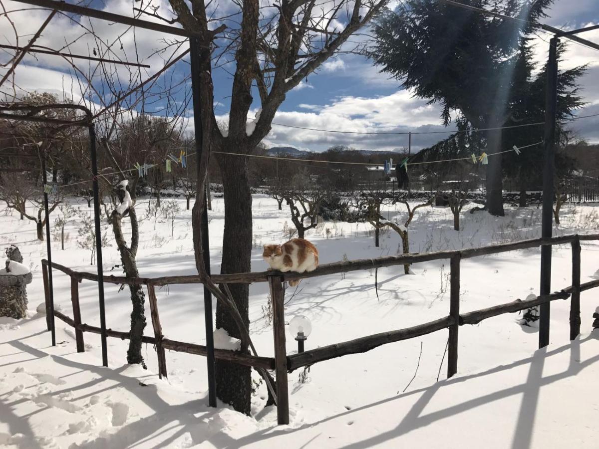 Вілла Etna, Salvia E Rosmarino Maletto Екстер'єр фото